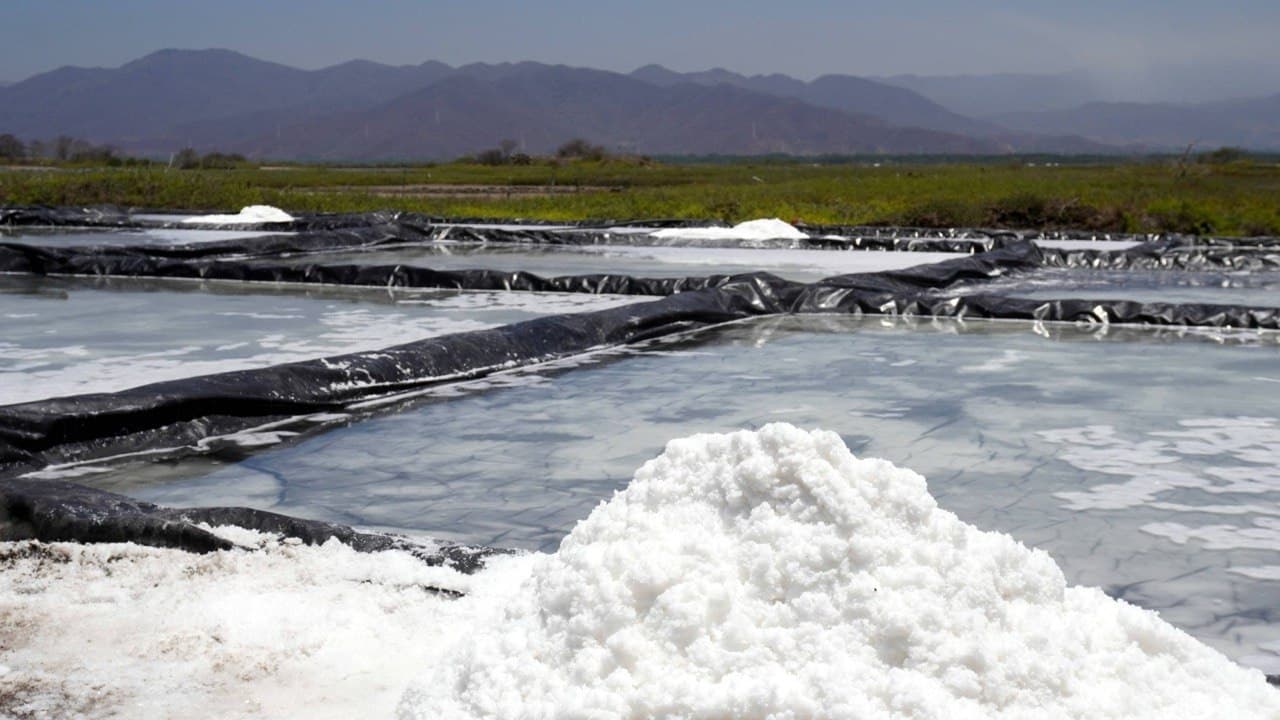 Salinas de la costa de Colima, México.